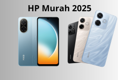 Rekomendasi HP Murah di Juni 2025: Kamera Oke, Baterai Tahan Lama, Performa Ngebut! Ada Redmi - POCO