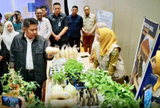 Gubernur Luncurkan Program Mulok, Sumsel Genjot Kemandirian Pangan dari Bangku Sekolah