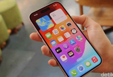 Kisah Pencuri iPhone Profesional, Sudah Kantongi Rp 4,6 Miliar