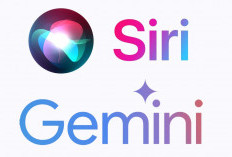 Apple Bayar Google Rp 16,7 Triliun per Tahun Demi Gemini untuk Siri!