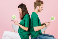 Panduan Lengkap Menggunakan Saluran WhatsApp untuk Informasi Terkini