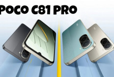 Spesifikasi POCO C81 Pro Terungkap: Layar 120Hz dan Baterai Jumbo 6000 mAh