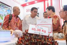 Wamentan Sudaryono Tegaskan Indonesia Bisa Tentukan Harga Sawit Global Lewat B50