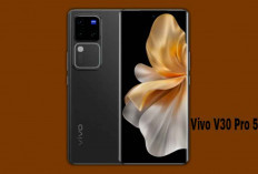 Vivo V30 Pro 5G Miliki Layar AMOLED 6,78 Inci, HP Sekelas Sultan Nih...