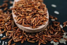 Tak Sekadar Pengganti Nasi Putih, Ini Manfaat Luar Biasa Beras Merah