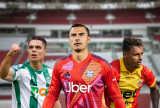 Naturalisasi Trio Garuda Masuk Tahap Akhir, PSSI dan Kemenpora Gercep!