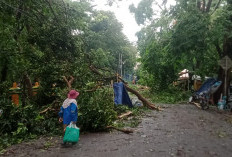 Puting Beliung Mengguncang Kota Muara Enim: Bencana Terparah Sepanjang Sejarah