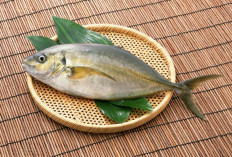 Mengenal Ikan Kembung, Sumber Protein dan Omega-3 untuk Tubuh Sehat