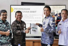 Satu-Satunya di Sumsel, Pemkab Ogan Ilir Bakal Miliki Pabrik Pakan Ikan Sendiri dengan Biaya APBD