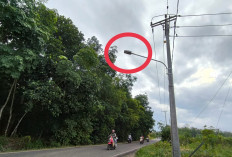 Jalan Sindur Prabumulih Terang, Warga Nyaman 