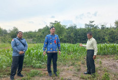 Pemkot Garap 322 Hektar Lahan Gratis