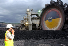 Bukit Asam Perkuat Investasi Pendidikan Lewat Beasiswa Ayo Sekolah