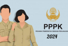 Seleksi PPPK 2024: Bagimana Nasib Tenaga Honorer yang Tak Lulus