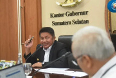 Herman Deru Minta Tuntaskan Blank Spot, Targetkan Sumsel Terkoneksi Menyeluruh