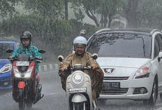 BMKG Peringatkan Cuaca Ekstrem 19 Januari 2026, Waspada Hujan Lebat dan Angin Kencang