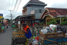  Solusi Tumpukan Sampah Berulang, Perlu Partisipasi Semua Pihak dengan Perencanaan yang Sistematis, Terencana 