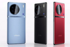 Vivo Terus Hadirkan Inovasi, Ini 5 Rekomendasi Smartphone dengan Kamera Unggulan dan Performa Tangguh