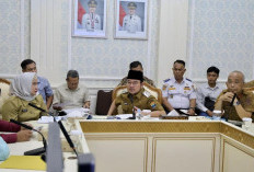 Soal Pulau Kemaro, Wawako Palembang: Kita Tidak Ingin Ada Konflik, Harus Ada Kejelasan dan Kemaslahatan