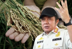 Bersiap Sambut Lebaran, Gubernur Sumsel Pastikan Stok dan Harga Pangan Aman