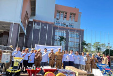 Pemkot Prabumulih Serahkan Bantuan TJSL PLN dan Alsintan dari Kementan