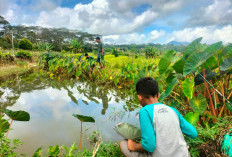 Ini Tips Liburan Menyenangkan, Sambil belajar dan Hemat