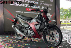 Ayam Jago dengan Performa Kencang, Begini Spesifikasi Suzuki Satria F150 