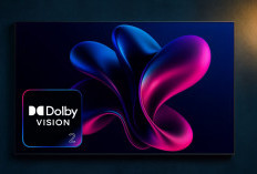 Dolby Vision 2 Resmi Meluncur, Bawa Fitur AI hingga Visual Lebih Sinematik