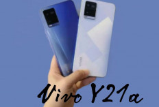 Vivo Y21a: HP Entry Level Dibekali Performa Tangguh MediaTek Helio P22