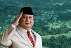 28 Izin Perusahaan Dicabut, Kejagung Dalami Unsur Pidana