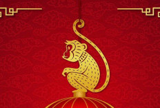 Ramalan Shio Ayam, Shio Kambing, Shio Macan, Shio Naga, Shio Ular Siang Ini