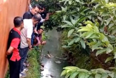 Siswa SMPN 26 Palembang Ditemukan Meninggal di Parit Belakang Sekolah, Polisi Lakukan Penyelidikan