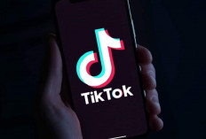 Bukan Cuma Nonton, Ini Cara Dapat Saldo DANA dari TikTok