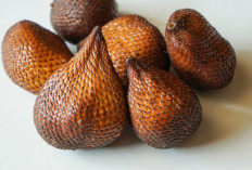 5 Manfaat Buah Salak untuk Kesehatan, Bisa Tingkatkan Stamina dan Imun Tubuh