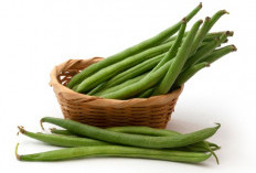 3 Makanan Super yang Bikin Berat Badan Turun Tanpa Lapar