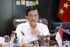 Luhut Ungkap Rencana Naikkan Pajak Motor BBM, Mau Minta Restu Jokowi