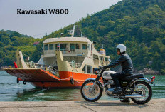 Motor Tangguh W800 Jadi Ikon Kawasaki, Bawa Performa Unggulan