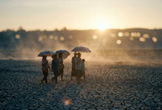El Nino 2026 Diprediksi Picu Kemarau Panjang, Tapi Hujan Masih Turun? Ini Penjelasan Pakar