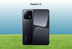 Xiaomi 13: Flagship Android dengan Performa Top, Kamera Leica, dan Layar OLED 120Hz