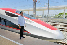 Utang Whoosh Rp1,2 Triliun per Tahun Resmi Ditanggung Negara