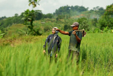 BRI Salurkan KUR Rp27,72 Triliun dalam 2 Bulan