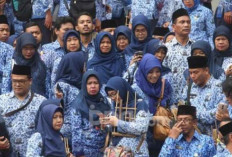 Honorer Teknis Administrasi Tak Dapat Formasi PPPK 2023 Minta Optimalisasi, Tanpa Tes