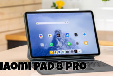 Xiaomi Pad 8 Pro: Tablet Rasa Laptop dengan Performa Produktivitas Tinggi