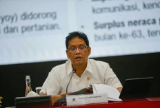 Apa Itu Sumitronomics? Konsep Ekonomi yang Jadi Sorotan Menkeu Purbaya