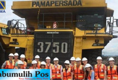 Siap Berkarier di Dunia Tambang? PAMA Buka Lowongan Engineering People Development Officer 2026