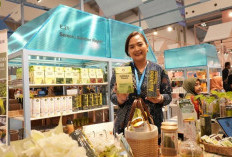 Mengglobal Lewat Herbal: BRI Bawa Kamandalu Ashitaba Menuju Panggung Dunia