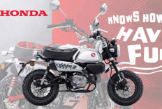 Desain Motor Honda Sport Monkey Bikin Riding Makin Oke, Ini Harga dan Speknya..