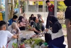 Manfaat Botol Bekas Untuk Wujudkan Green School Project