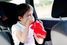 5 Cara Ampuh Mencegah Mabuk Perjalanan, Bikin Perjalanan Jadi Nyaman!