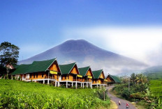 Tempat Wisata Menawan di Sumatera Selatan: Gunung Dempo dengan Pesona dan Kisah Mistisnya