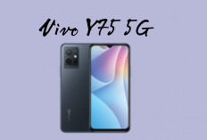 Vivo Y75 5G, Smartphone Canggih Usung RAM Hingga 12 GB dan Baterai Tahan Lama, Intip Harga Terbarunya